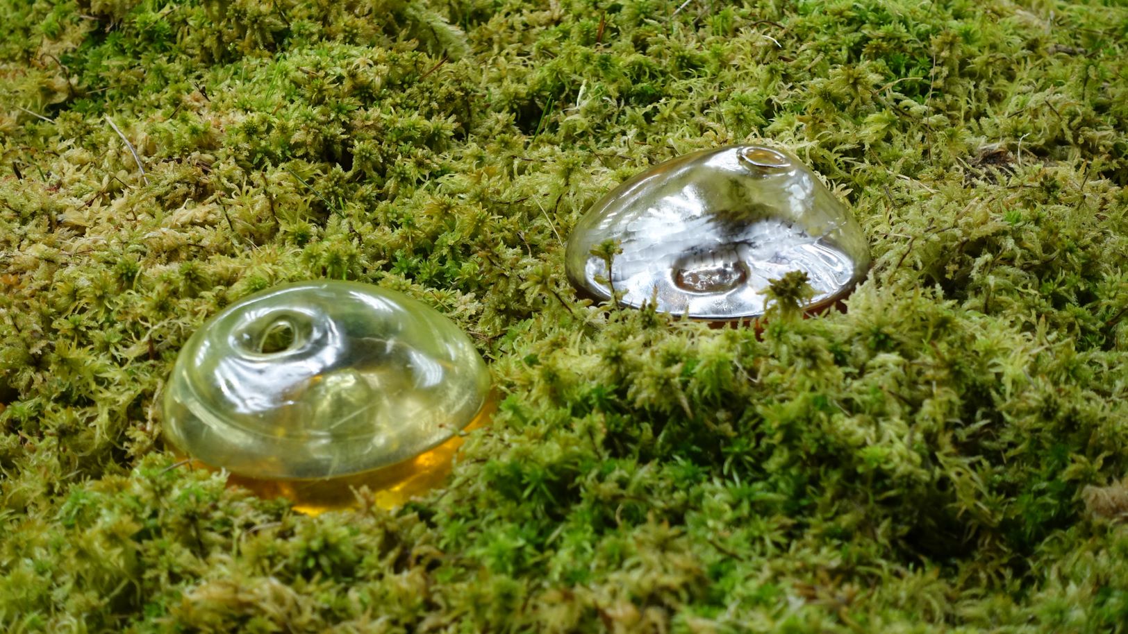 Glass objects sitting on green peat