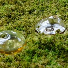 Glass objects sitting on green peat