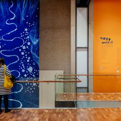 two people in UQ Art museum exhibition Mare Amoris | Sea of Love. One person is looking at artwork  Wagari: Dabiyil, Biram - Vessel: water and sky (Nuit Blanche series) by Sonja Carmichael, Elisa Jane Carmichael and Freja Carmichael