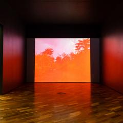 Screen in gallery space showing a sunrise