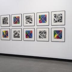 Ten artworks hanging on a wall, half of them are colourful and half are black and white