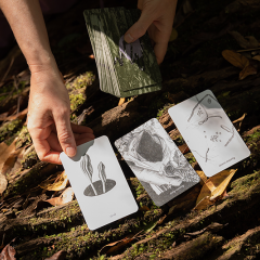 'recompose' 2021, conversation, divination cards, interactive website. A part of Final Call exhibition, Mossy Log Garden, Maroochy Regional Bushland Botanic Gardens, Horizon Festival 2021. Photography: Timothy Birch
