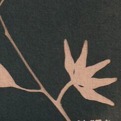 A close up of a larger work which features the silhouette of a plant. On the left you can see the bottom half of a leaf and as you follow the branch to the right you can see the shape of five diamond seed pods grouped together like petals on a flower. 