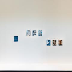 Image: Norton Fredericks, Field Samples 2024–25 and Blood test results 2024. Installation view, These Entanglements: Ecology After Nature, The University of Queensland Art Museum, 2025. Photo: Joe Ruckli.