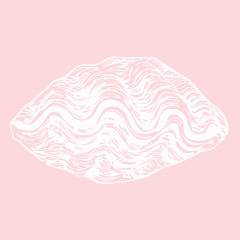 A drawing of a clam shell on a pink background
