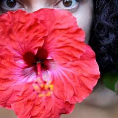 Angela Tiatia, Hibiscus Rosa Sinensis