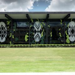 Jennifer Herd's artwork on the front windows of the Art Museum
