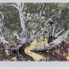 Nici Cumpston, Listening to the River