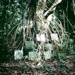 Robert Smithson